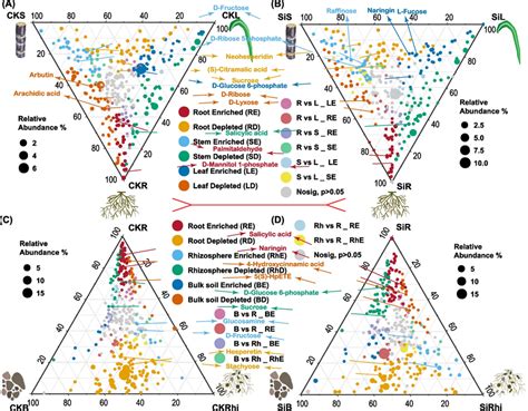 Ternary Plot Showing Enriched And Depleted Metabolites Community In The