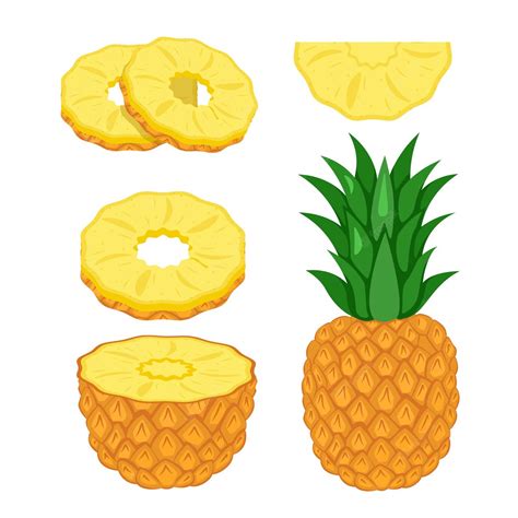 Premium Vector Pineapple Set Pineapple Half Slices And Whole Fruit