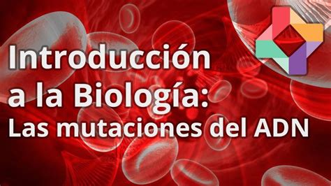 Las mutaciones del ADN Biología Educatina Multicultural classroom