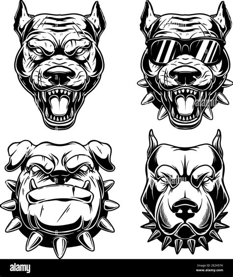 American Pit Bull Bark Stock Vector Images Alamy