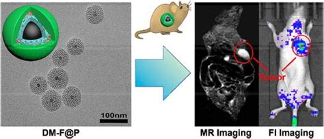 A Ph Responsive Nanoplatform Based On Magnetic Mesoporous Silica