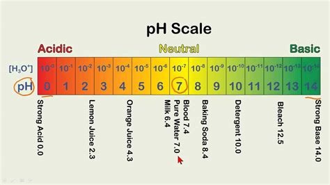 Finding The Ph Of The Following Samples