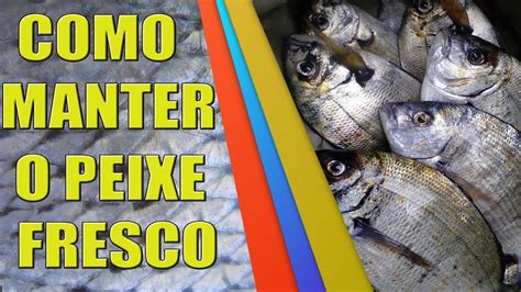 Segredos De Pesca Como Manter O Peixe Fresco Youtube