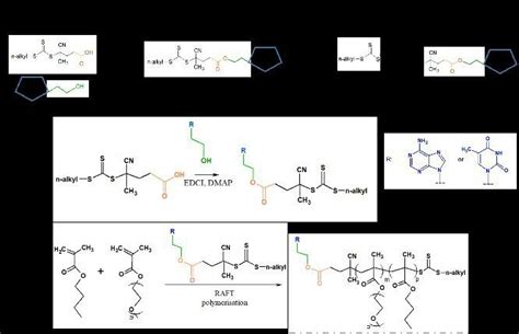 Synthesis Of Nucleobase Containing Copolymers By The Functionalization Download Scientific