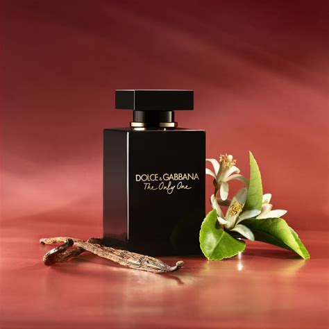 Dolce Gabbana The Only One Intense Edp Ml Nok Swedishface