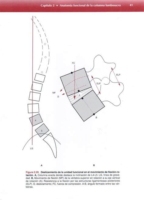 Anatomia Funcional Biomecanica Cailliet Pdf