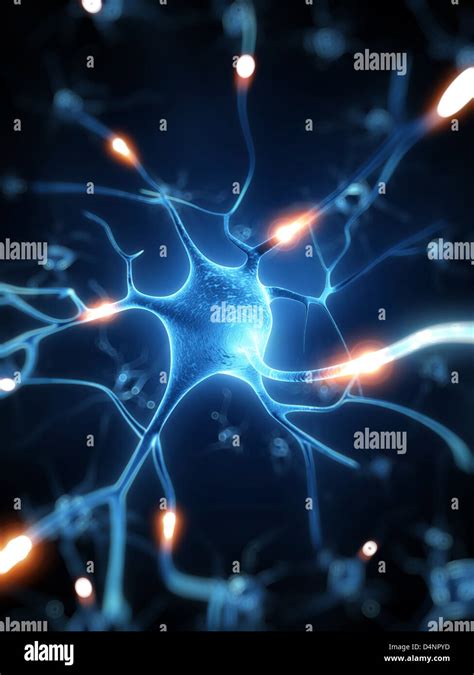 Active Nerve Cell Stock Photo Alamy