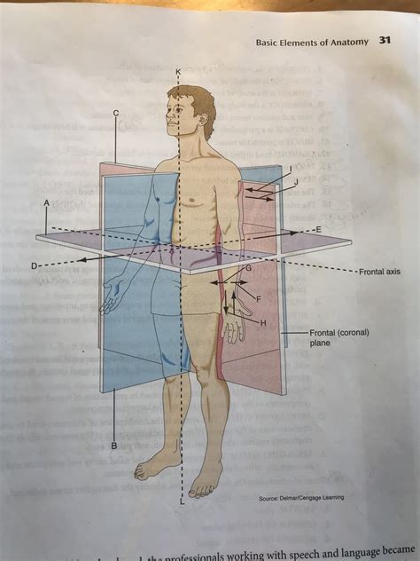 Anatomy Chapter 1 Diagram Quizlet