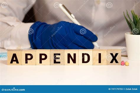 APPENDIX Word Made With Wooden Blocks Concept Royalty Free Stock Photo