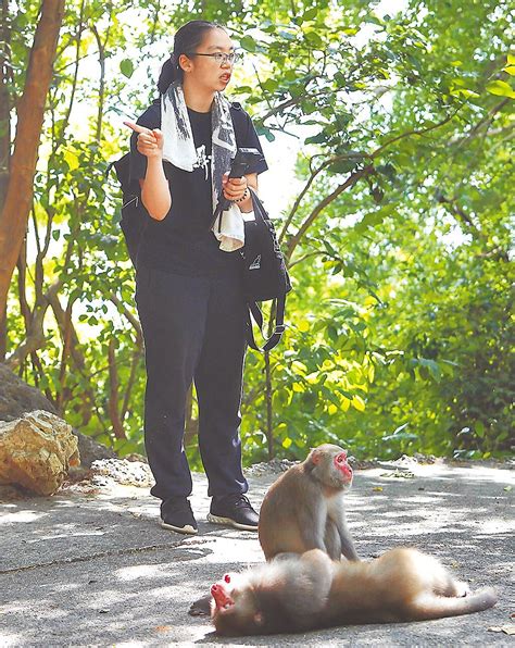 壽山猴賽雷 探索頑皮世界 觸食旅