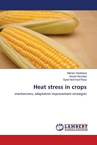 Heat Stress In Crops Mechanisms Adaptation Improvement Strategies