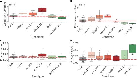 Frontiers High Throughput 3d Phenotyping Of Plant Shoot Apical