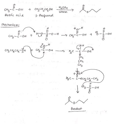 Solved Point The Product Of The Reaction Between Propanol And