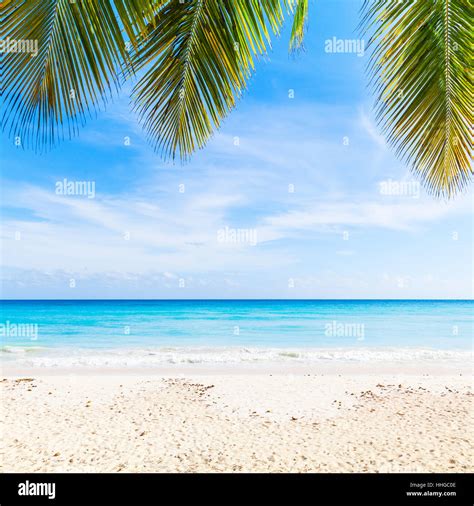 Beach Background Fotograf As E Im Genes De Alta Resoluci N Alamy