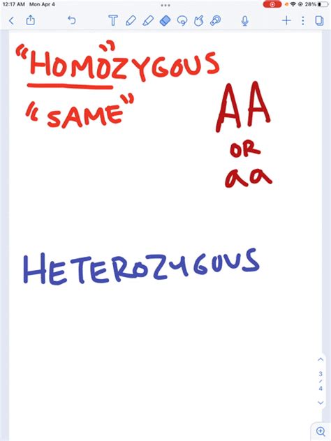 Explain The Difference Between Heterozygous And Homozygous Genes Numerade