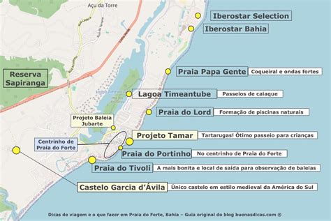 Dicas De Viagem Para Praia Do Forte Bahia Guia Completo