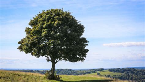 Nature et urbanisation, le compromis ici - ici