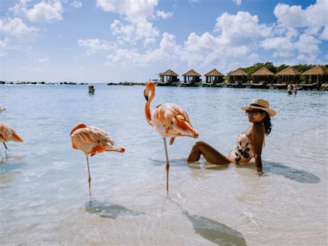 Snorkeling In Aruba: The 10 Best Spots | ISM