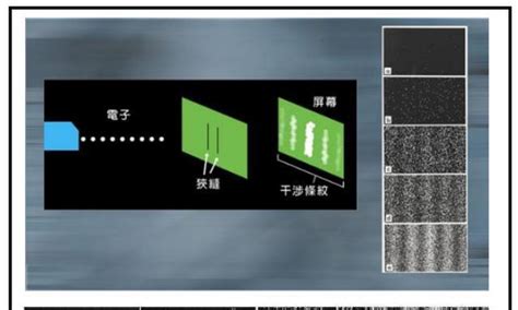 电子双缝干涉实验结果的真实物理意义 电子 双缝 实验结果 新浪新闻