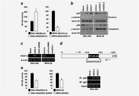 Rac1 mediated NF κB activation is required for RhoGDI2 induced VEGF C