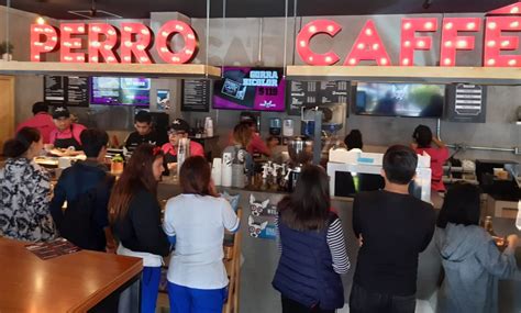 Perro Cafe Tovar Cid Abogados De Propiedad Intelectual En México