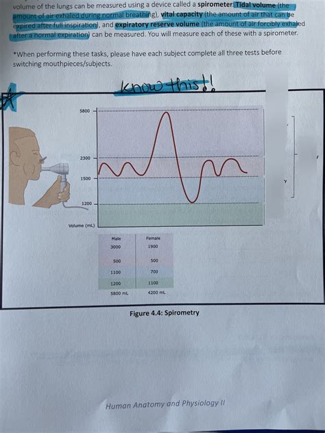 BMS 508 Lab Practical FINAL Diagram Quizlet