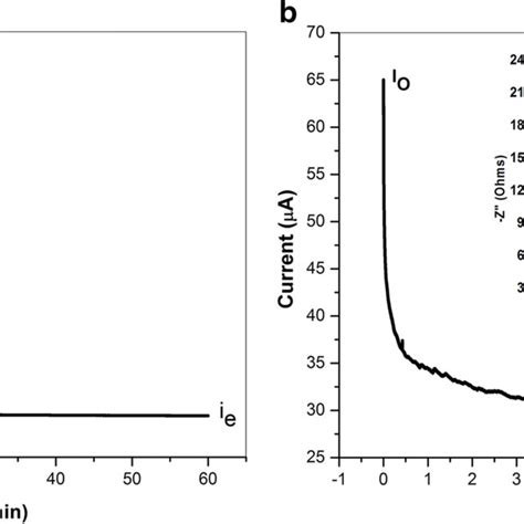 A Typical Dc Polarization Curve For Ss Peo Wt Litfsi Wt