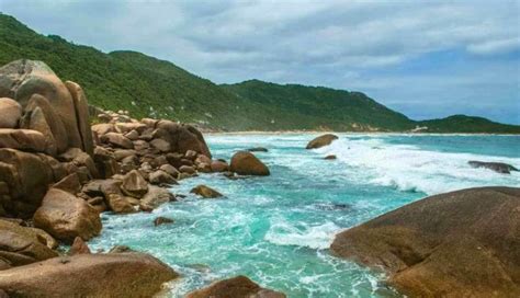 Praia da Galheta em Florianópolis 2024 Dicas incríveis