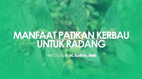 Live Kajian Rutin Muslimah Jum At Pagi Ustadz Abdullah Husni Lc