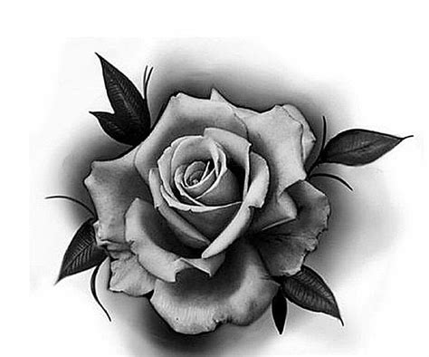 Pin By Rosielson Ramos On Decalquer Rose Flower Tattoos Rose Drawing