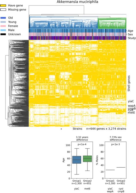 Pangenomes Of Human Gut Microbiota Uncover Links Between Genetic