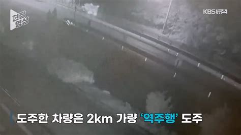 5번 처벌받고도 또 음주운전으로 택시기사 숨져 Dogdripnet 개드립