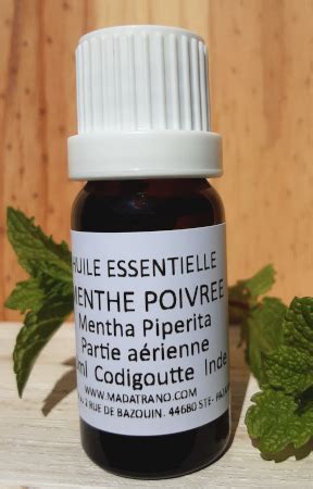 Menthe Poivree Huile Essentielle Fournisseur Grossiste Vente Conseils