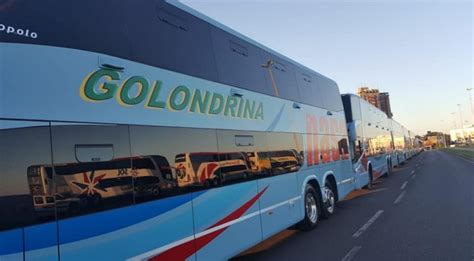 Diario HOY Presentan 70 Nuevos Buses Del Servicio De Mediana Y Larga