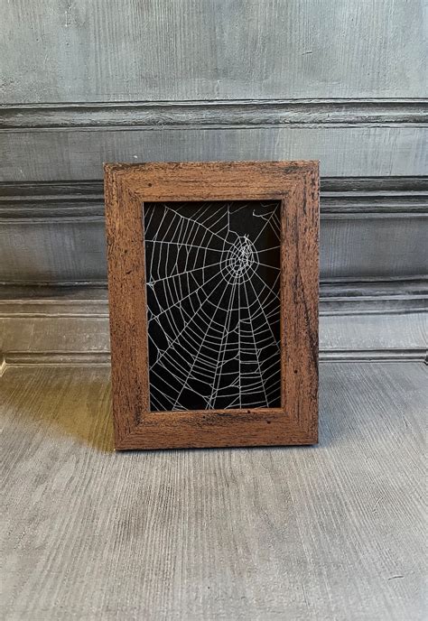 Real Cobweb Preserved Cobweb Real Spider Web Cobweb Art Etsy Uk