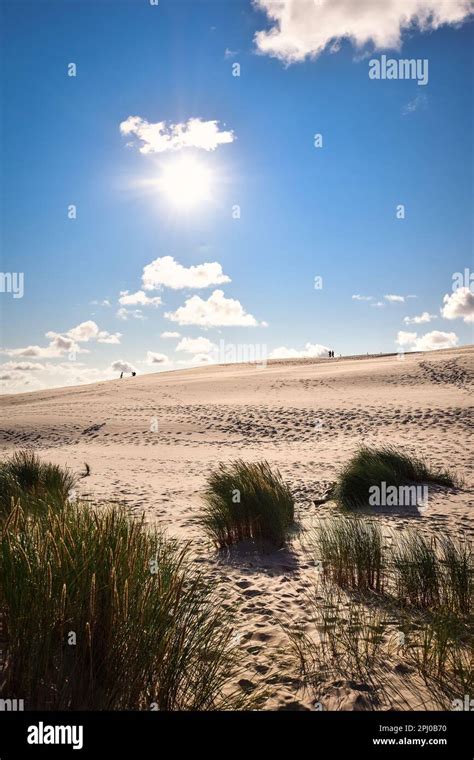 Beautiful Holiday Seaside Landscape Moving Dunes In The Desert In