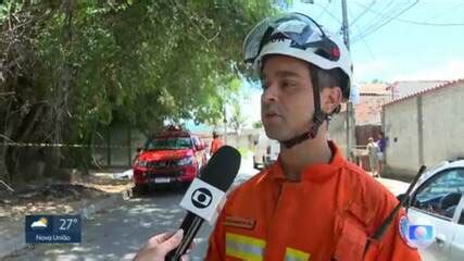 Ataque De Abelhas Deixa Idoso Morto E Feridos Em Casa De Repouso