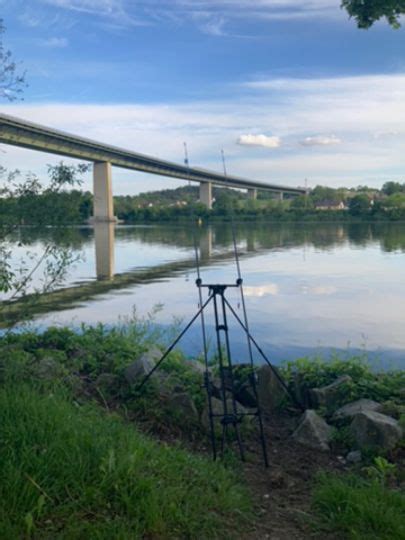 Donau Schalding Alle Angeln