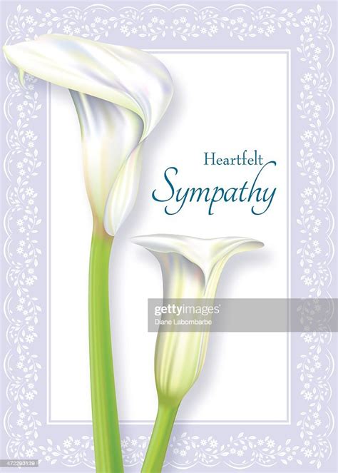 Calla Lily Sympathy Card High Res Vector Graphic Getty Images