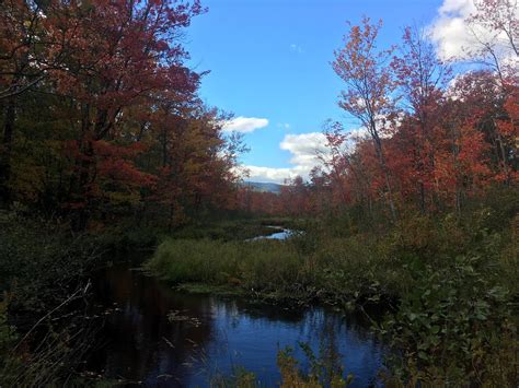 Bethel fall foliage : r/Maine