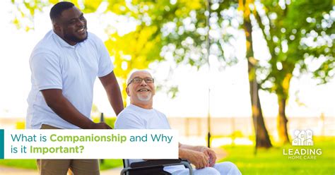 What Is Companionship And Why Is It Important Leading Home Care