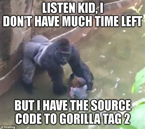 Gorilla tag 2 OMG : r/GorillaTag