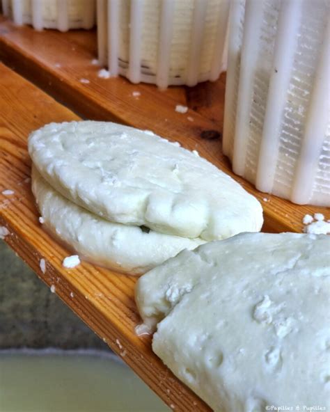 Halloumi Un Fromage Chypriote Et Id Es Recette