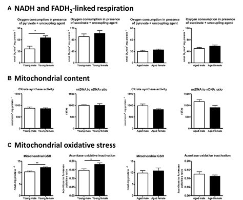 Figure 4 From Role Of Sex Hormones On Brain Mitochondrial Function