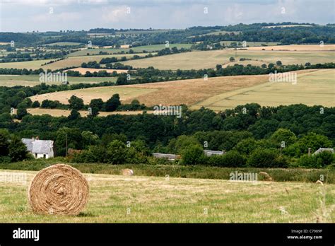 Farmland in summer, 'Suisse Normande' (Swiss Normandy) , Calvados ...