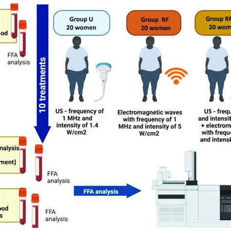 Study Design Prepared Using Biorender Software Download Scientific