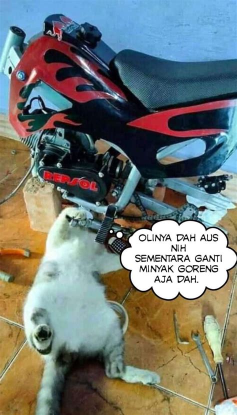 Meme Kucing Cosplay Jadi Montir Ternyata Multitasking