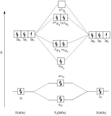 Molecular Orbital Diagram For F2