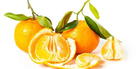 Los Beneficios De Las Mandarina Variedades Actual Fruveg