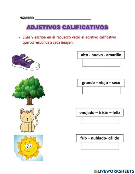 Ejercicio De Adjetivos Calificativos Adjetivos Adjetivos Actividades